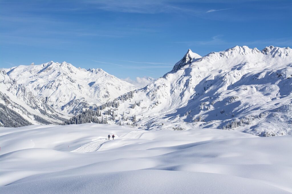 nature, winter, snow